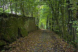 Bernhard Saalfeld - Spessart (2v9)